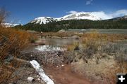 Typical Beaver Pond. Photo by Pinedale Online.