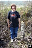 Beaver Stump. Photo by Pinedale Online.