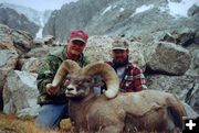 Trophy Sheep. Photo by Black Diamond Outfitting.