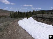 Whiskey Grove Snowbank. Photo by Dawn Ballou, Pinedale Online.