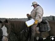 Counting Drift Cattle. Photo by Monte Skinner.