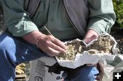 Cleaning bison bone. Photo by Dawn Ballou, Pinedale Online.