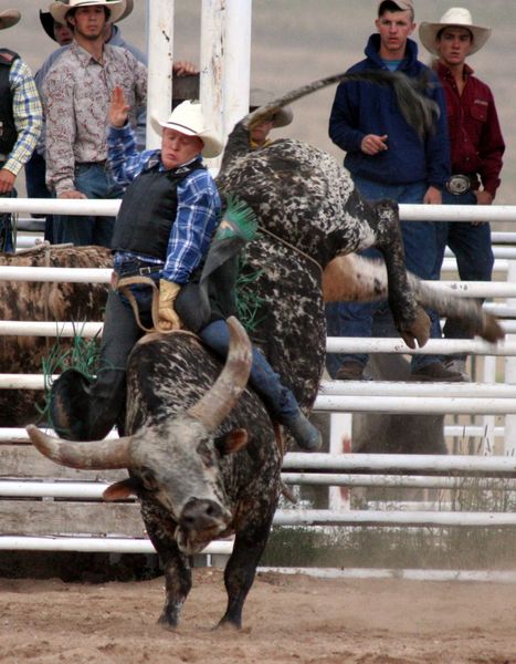 Bull Riding. Photo by Clint Gilchrist, Pinedale Online.