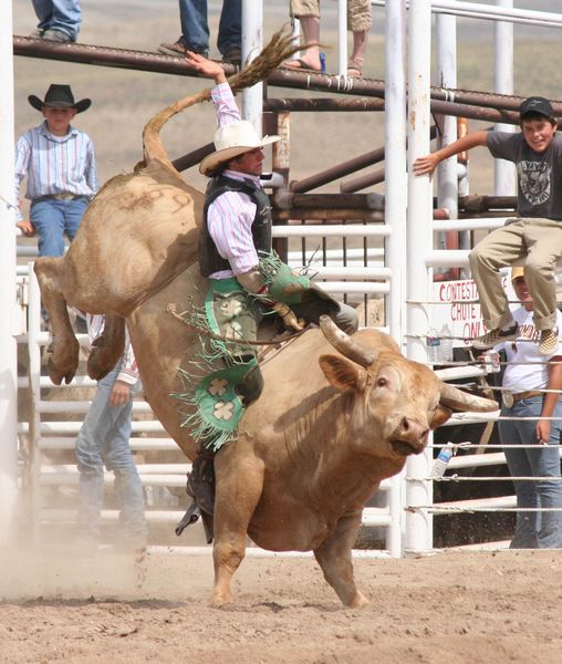 Bull Riding. Photo by Clint Gilchrist, Pinedale Online.