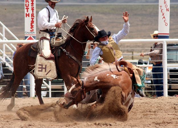 Saddle Bronc Ride. Photo by Clint Gilchrist, Pinedale Online.