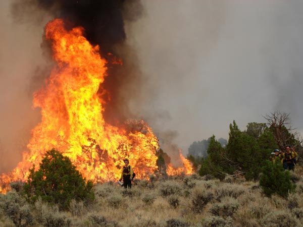 Back burn. Photo by BLM.