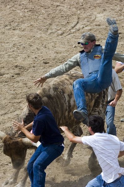 Bull Scramble. Photo by Tara Bolgiano, Blushing Crow Photography.