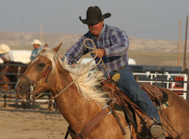 Determined Heeler. Photo by Clint Gilchrist, Pinedale Online.