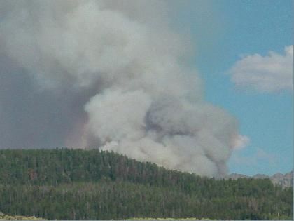 Jim Creek Fire. Photo by USFS.