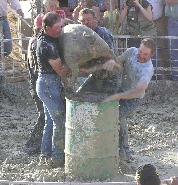 Over 40s got their pig. Photo by Dawn Ballou, Pinedale Online.