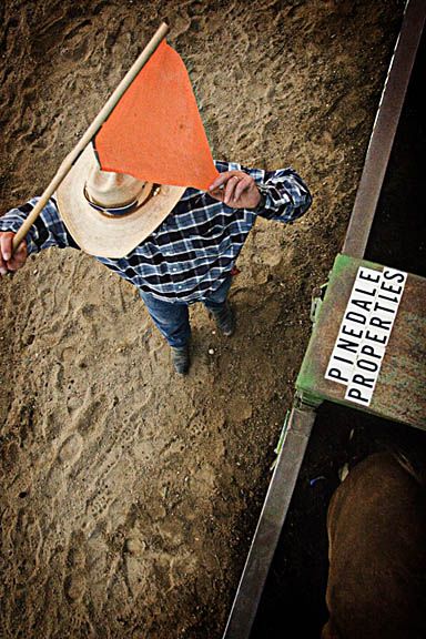 Rodeo Judge. Photo by Tara Bolgiano, Blushing Crow Photography.