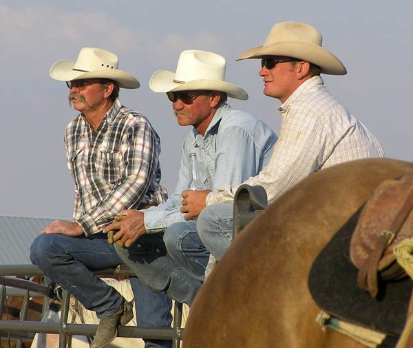 Everyone watches. Photo by Dawn Ballou, Pinedale Online.