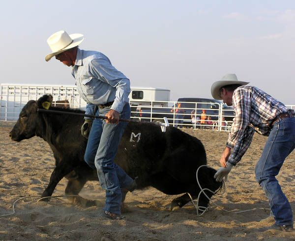 Releasing the ropes. Photo by Dawn Ballou, Pinedale Online.