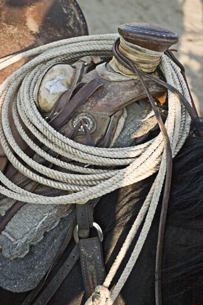 Rope and saddle. Photo by Tara Bolgiano, Blushing Crow Photography.