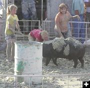 Mudding the pig. Photo by Dawn Ballou, Pinedale Online.