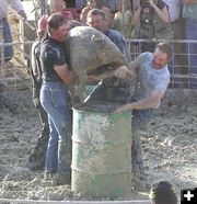Over 40s got their pig. Photo by Dawn Ballou, Pinedale Online.