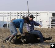 Planting the brand. Photo by Dawn Ballou, Pinedale Online.