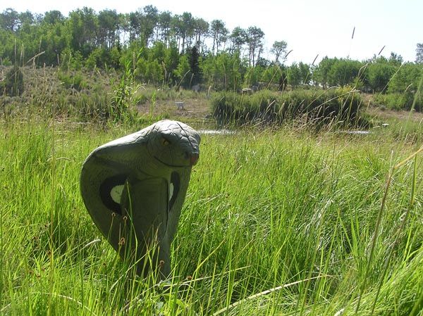 Cobra target. Photo by Dawn Ballou, Pinedale Online.