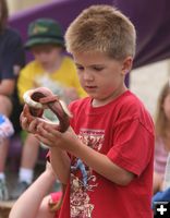 King Snake. Photo by Clint Gilchrist, Pinedale Online.