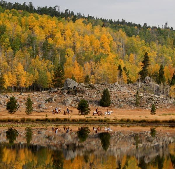 Fall Reflection. Photo by Clint Gilchrist, Pinedale Online.