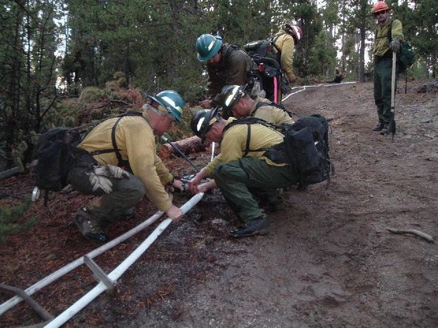 Laying sprinkler pipe. Photo by U.S. Forest Service.