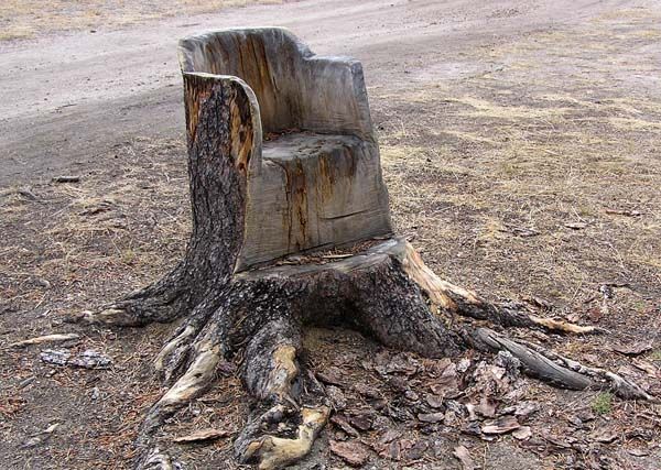 Tree Chair. Photo by Dawn Ballou, Pinedale Online.