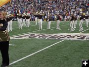 Marching Band. Photo by Craig Sheppard.