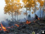 Burning understory. Photo by Clint Gilchrist, Pinedale Online.