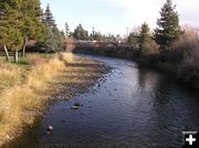 Pine Creek. Photo by Dawn Ballou, Pinedale Online.