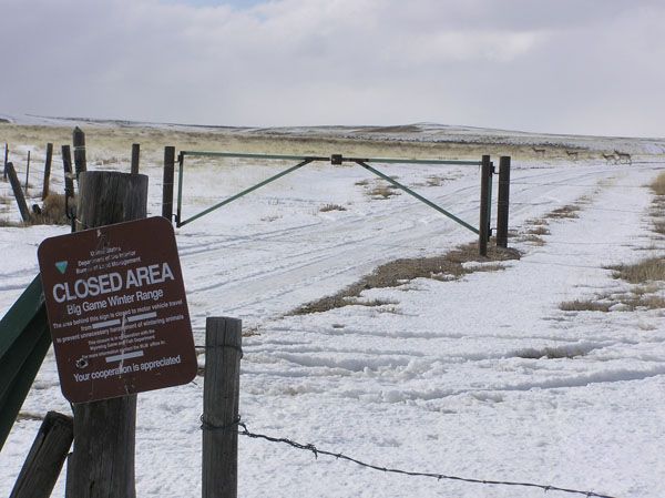 Wildlife Closure area. Photo by Dawn Ballou, Pinedale Online.