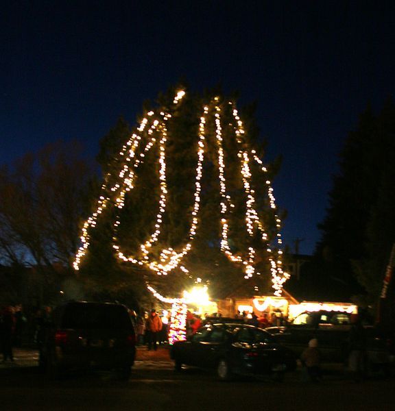 Official Pinedale Tree. Photo by Pam McCulloch, Pinedale Online.