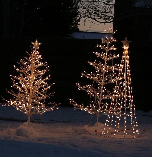 Lighted Trees. Photo by Pam McCulloch, Pinedale Online.