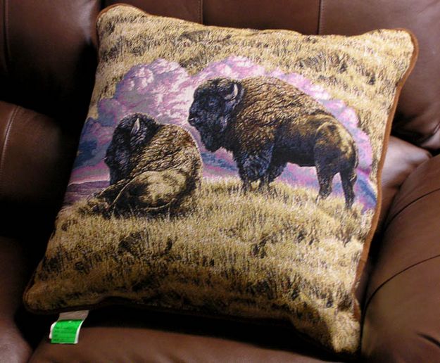 Bison Pillow. Photo by Dawn Ballou, Pinedale Online.