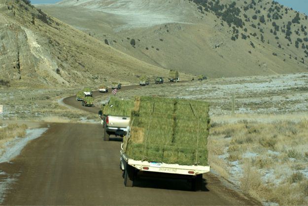 Truck line of Hay. Photo by Cat Urbigkit.