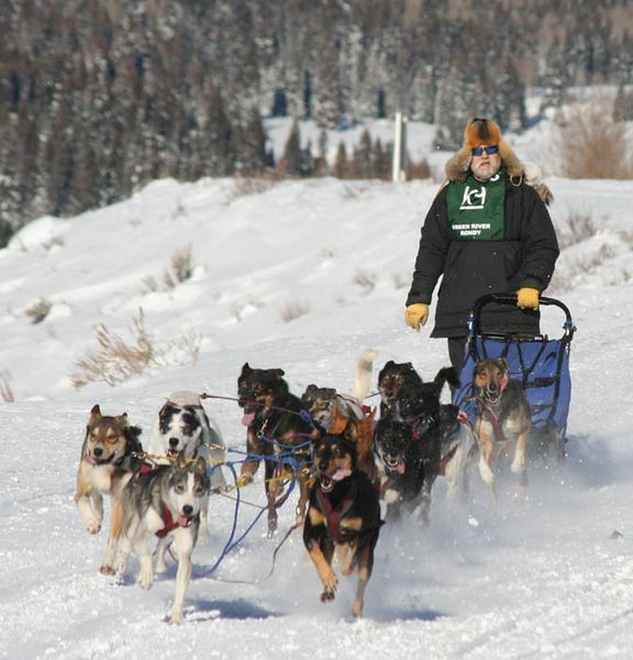 Martin Koenig. Photo by Clint Gilchrist, Pinedale Online.