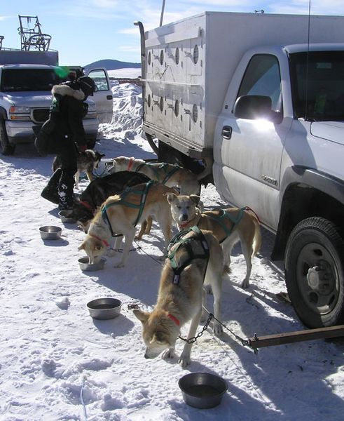 Water and Food. Photo by Dawn Ballou, Pinedale Online.