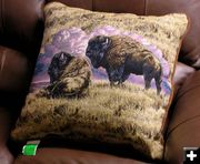 Bison Pillow. Photo by Dawn Ballou, Pinedale Online.