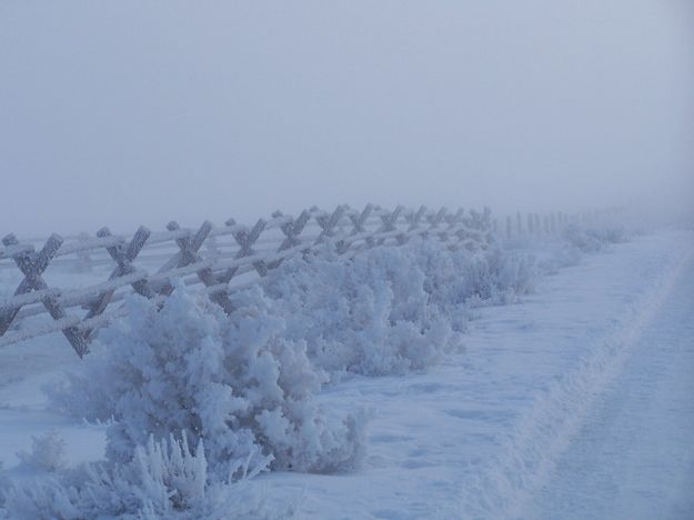 Buck Fence in the snow. Photo by Scott Almdale.