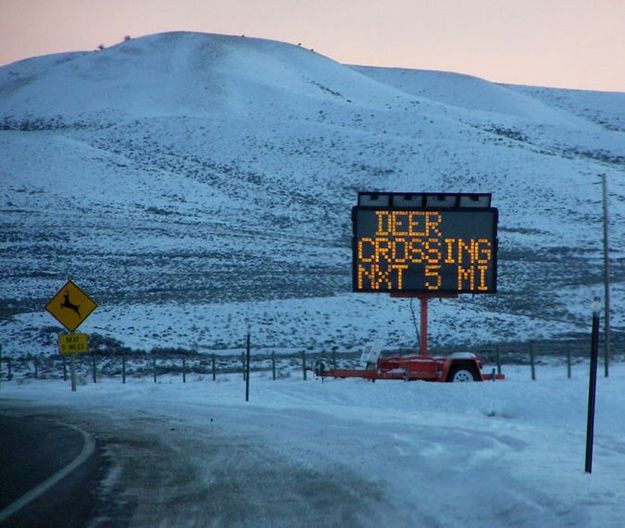 Deer Crossing Sign. Photo by Dawn Ballou, Pinedale Online.