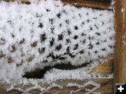 Hoar Frost on Wire Fencing. Photo by Dawn Ballou, Pinedale Online.