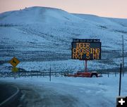 Deer Crossing Sign. Photo by Dawn Ballou, Pinedale Online.