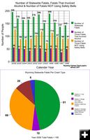 Fatalities & Crash Types. Photo by Wyoming Highway Patrol.