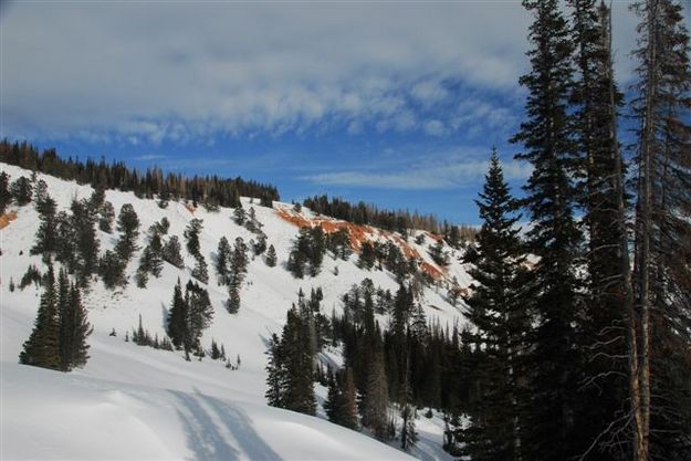 Horse Creek drainage. Photo by Arnold Brokling.