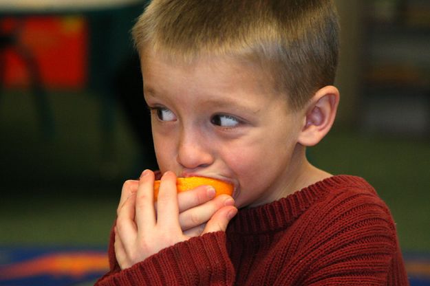 Oranges. Photo by Pam McCulloch, Pinedale Online.