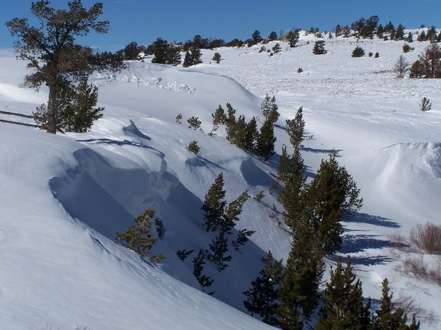 South Pass Snow Curl. Photo by Scott Almdale.