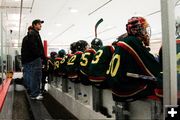 Bantams. Photo by Tara Bolgiano, Blushing Crow Photography.