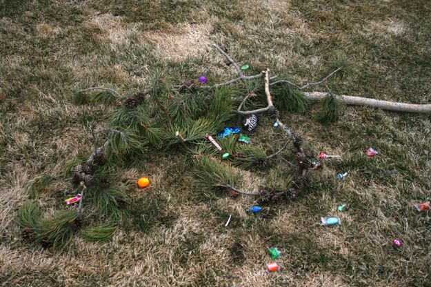 Easter Candy. Photo by Pam McCulloch.