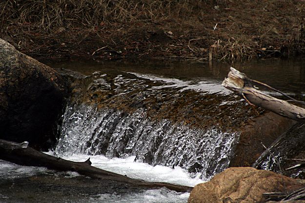 Pine Creek Clear Water. Photo by Pam McCulloch.