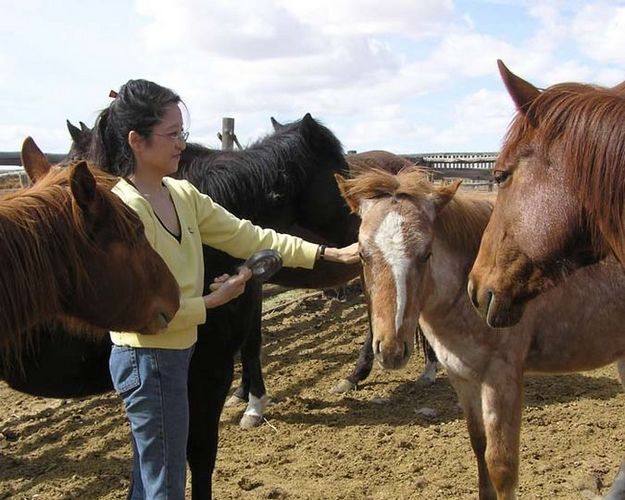 Little Rascal. Photo by Dawn Ballou, Pinedale Online.