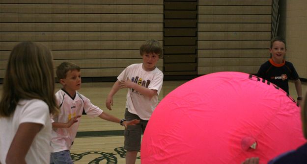 Ball Tag. Photo by Pam McCulloch.